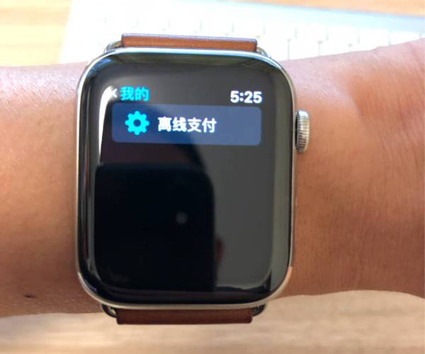 支付宝手表离线支付截图2