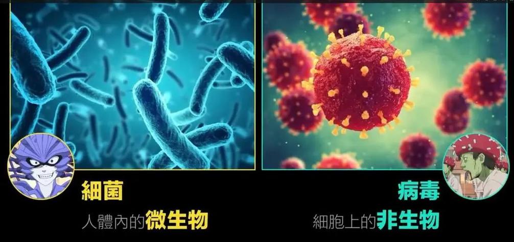 细菌包括病毒吗