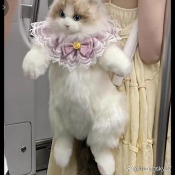 背着猫可以坐地铁吗