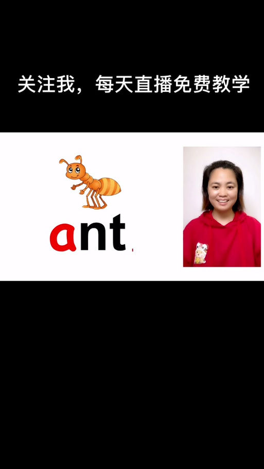 ant英语的发音