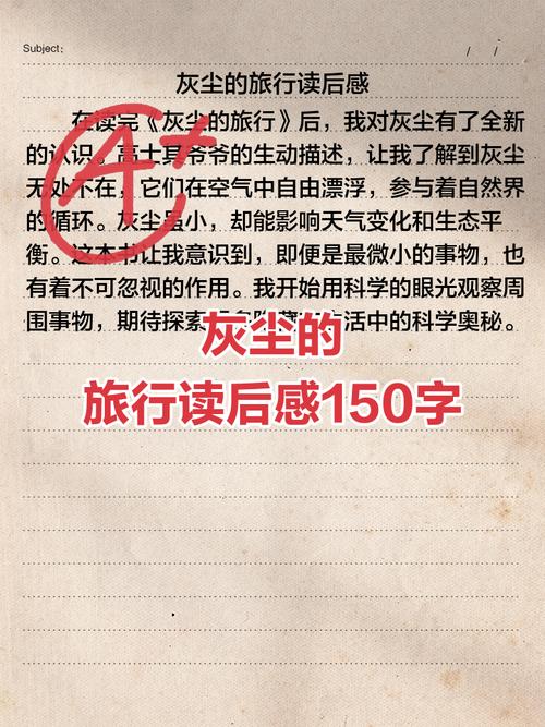 灰色国度书评