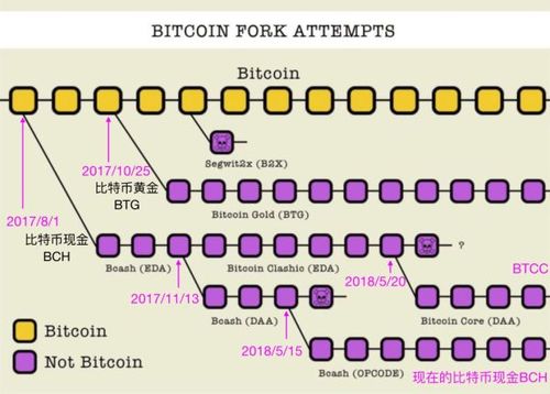 btc分叉币