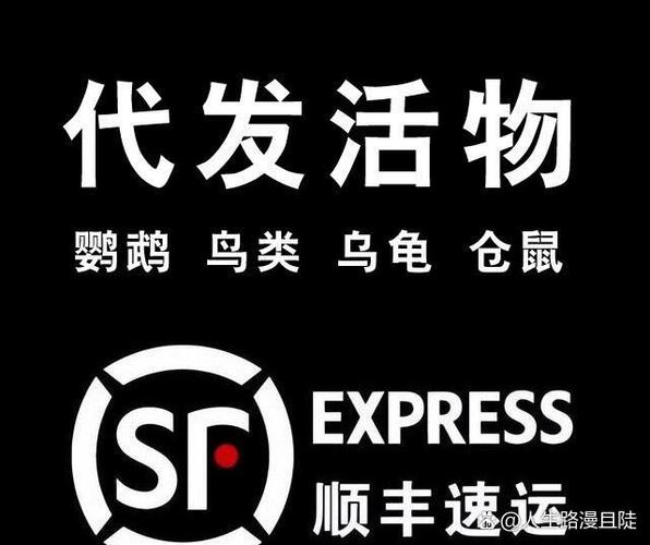 顺风可以寄乌龟吗