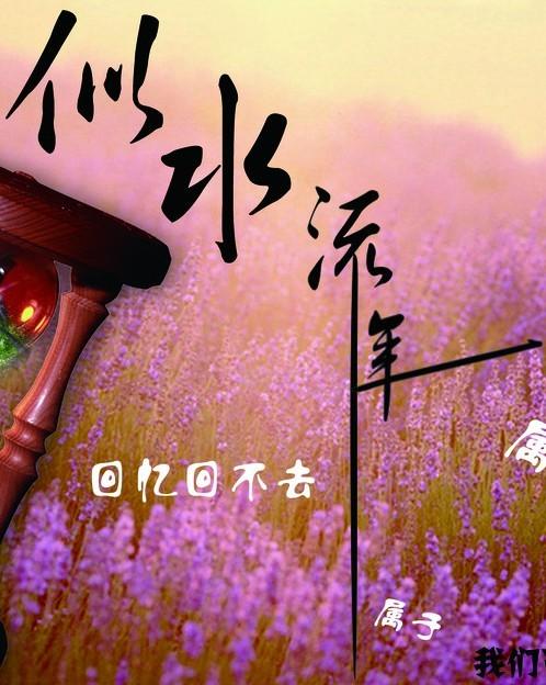 逝水流年下一句是什么意思