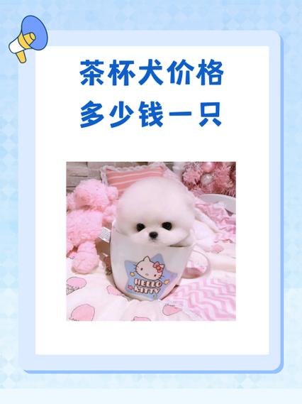 泰迪狗多少钱一只 泰迪狗多少钱一只