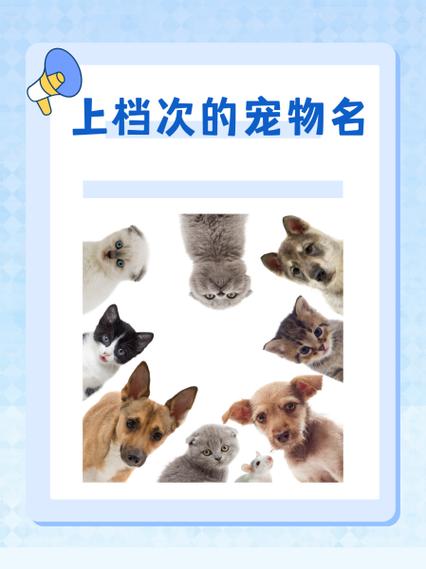 原耽宠物名