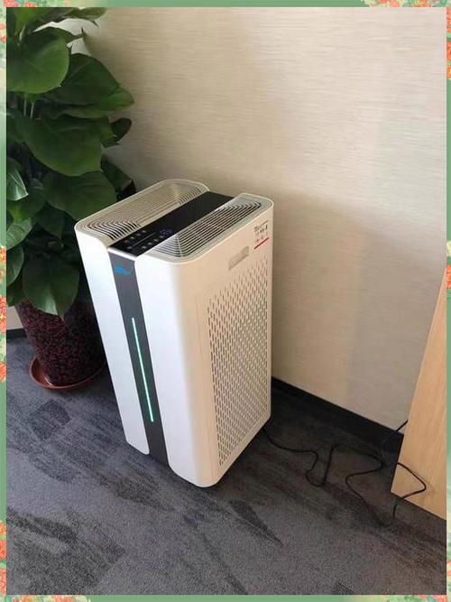 无需更换滤芯的空气净化器截图2