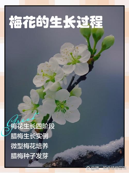 梅花易数时间起卦法截图2