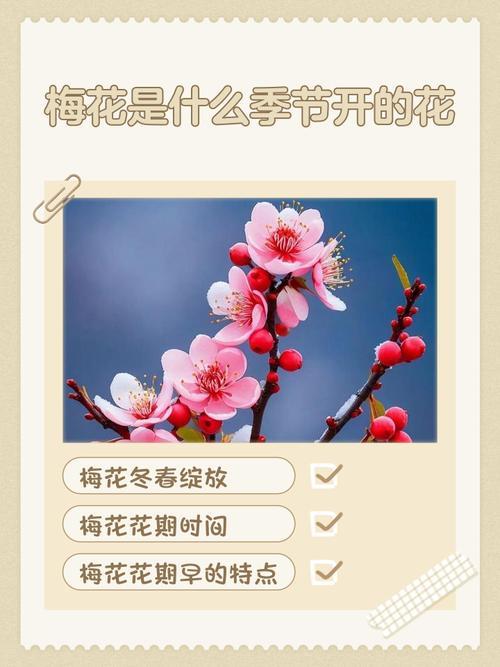 梅花易数时间起卦法截图3