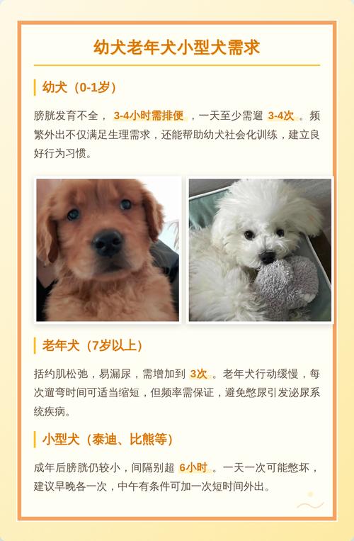 一天没遛狗会憋坏么