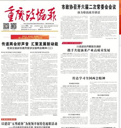 重庆政协报电子版