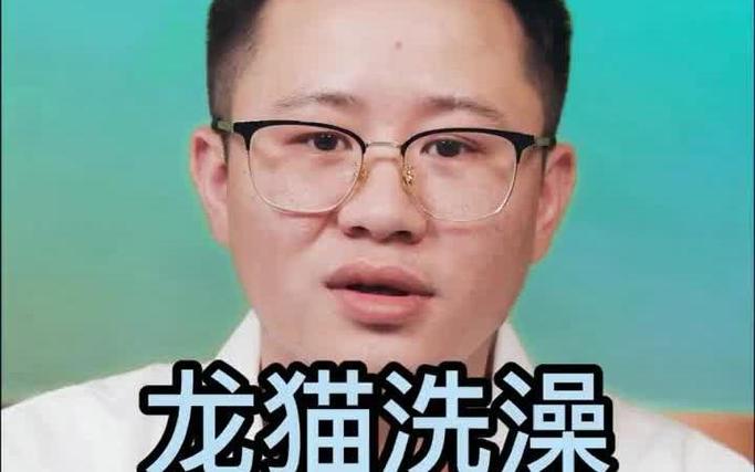 龙猫多长时间洗一次澡