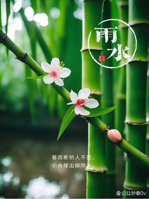 春雨天气旧版本