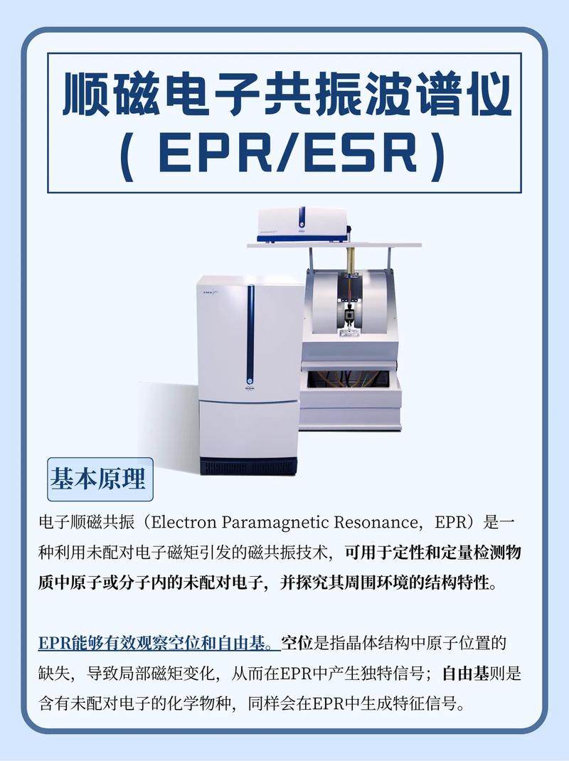 epx什么意思