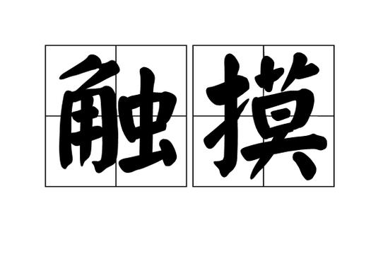 触摸是什么意思