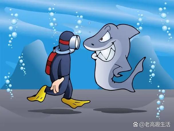 娱乐的定义