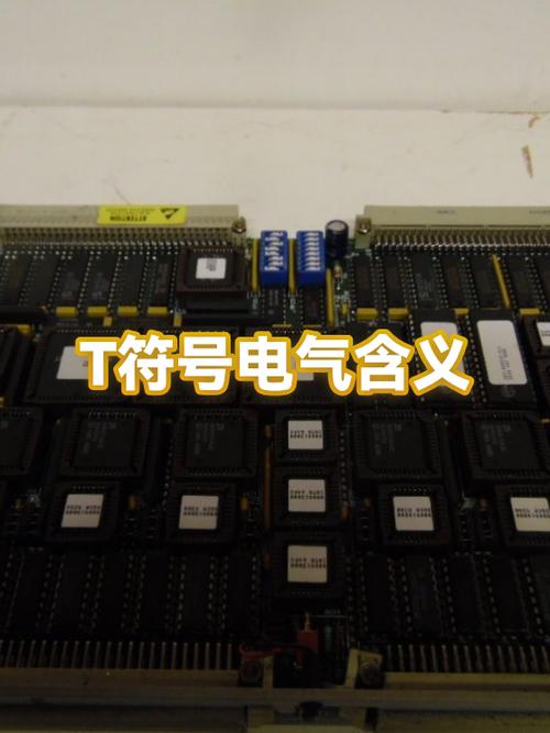 t代表什么含义截图3