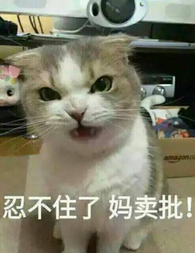 妈卖批表情包图片 骂人