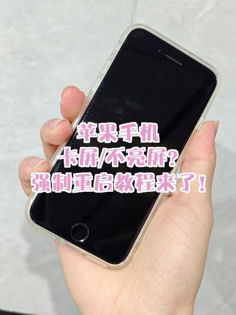 苹果手机卡屏怎么处理