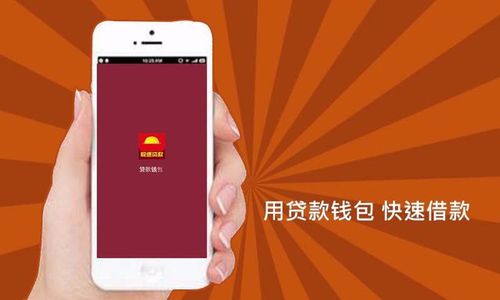 维维钱包贷款app