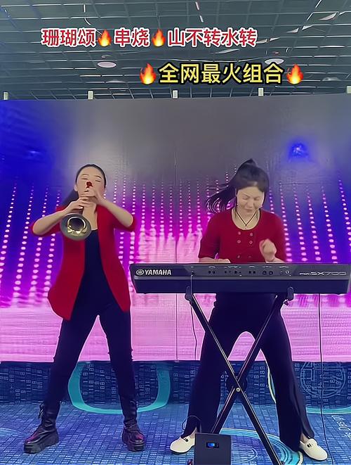 唢呐电子琴DJ老歌大串烧