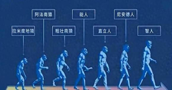 人的三个阶段