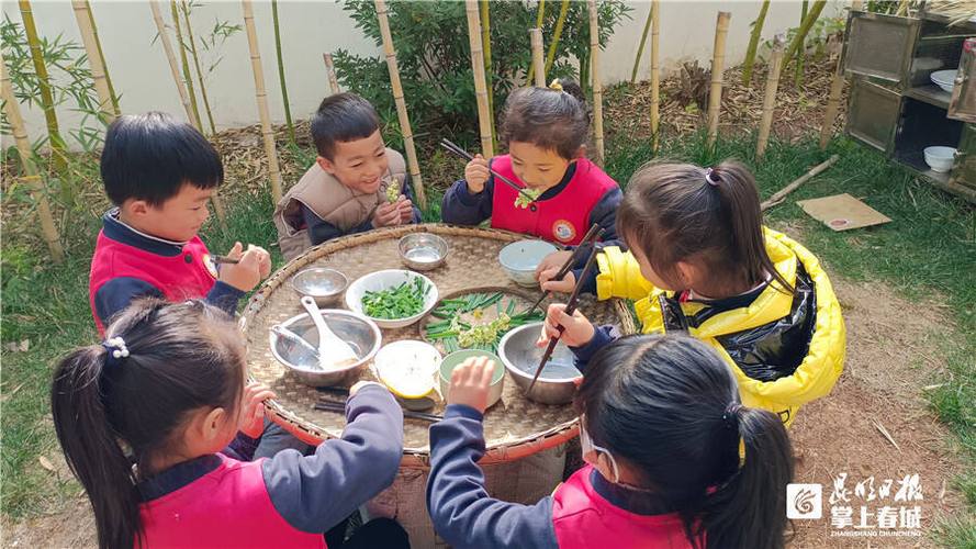幼儿园户外游戏农家乐