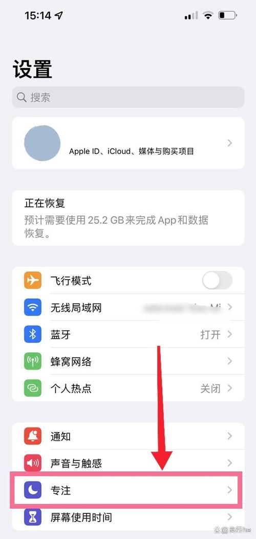 苹果玩游戏勿扰模式怎么设置截图2