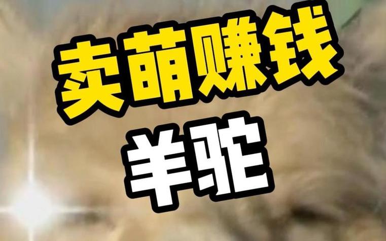 我的农场羊驼赚钱版
