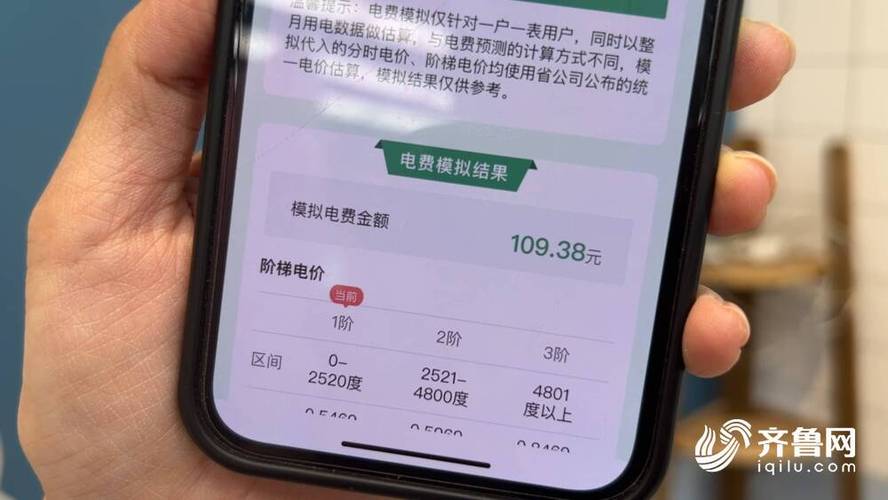国网山东电力交电费