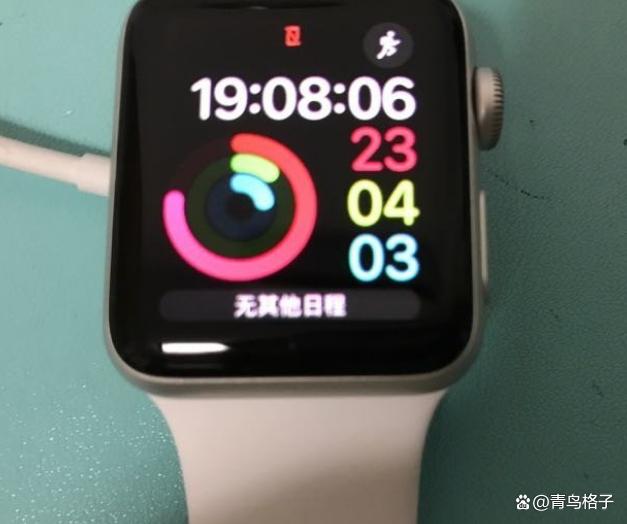 苹果手表更新自动暂停截图2