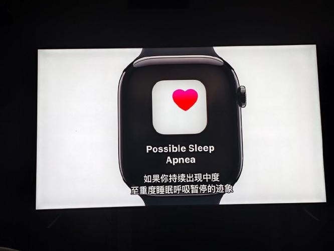 苹果手表更新自动暂停截图3