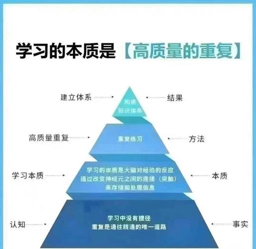 cokemv官网版使用方法截图3