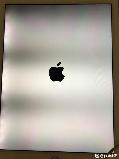 ipad屏幕边缘黑影
