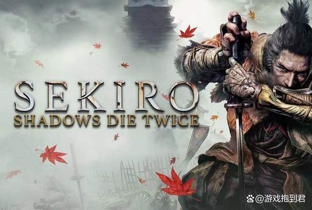只狼游戏有多大