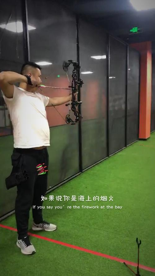 碳蜘蛛复合弓截图3