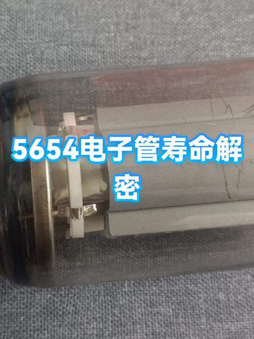 电子管一般寿命多少
