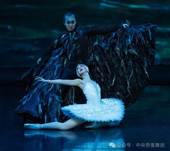 《天鹅湖》免费观看高清