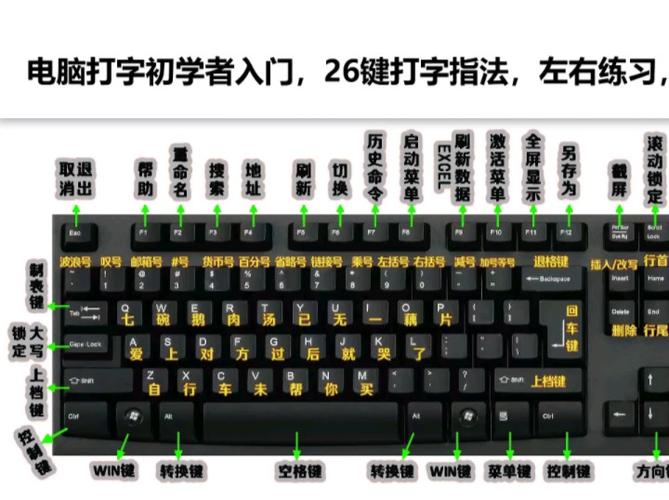 电脑键盘打字都是字母怎么回事