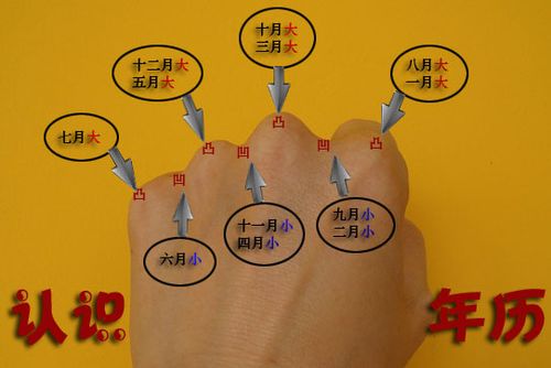 手上看月份大小图解截图2