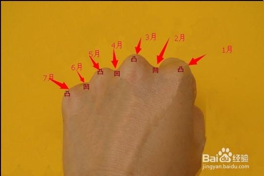 手上看月份大小图解截图3