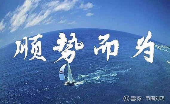 什么什么而为之