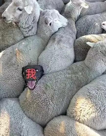 抖音十号上有小黄点什么意思截图2