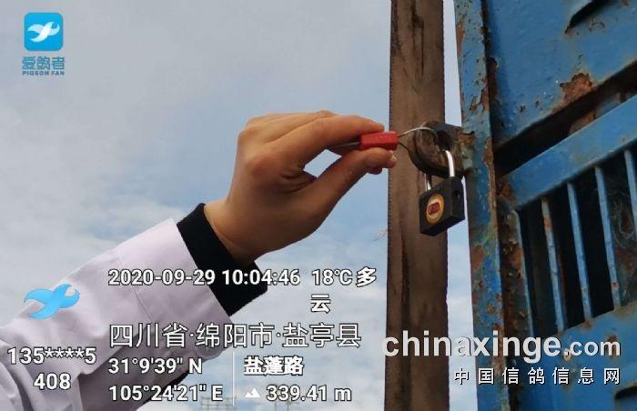 信鸽空距地图计算