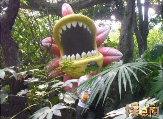 食人花咬人视频