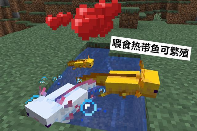 我的世界20w52a下载