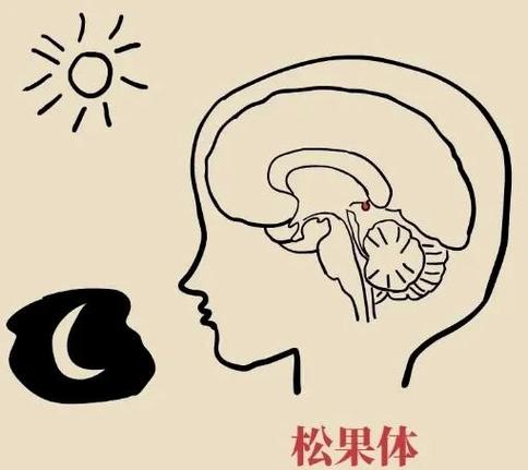 飞利浦睡眠检测设备