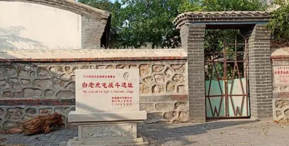 白老虎连历史