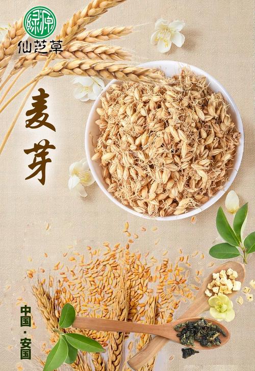 麦芽贷改名了吗