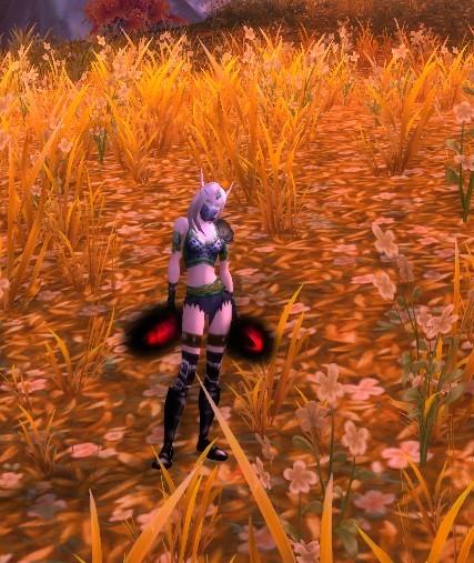 女盗贼幻化套装大全